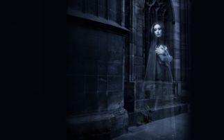 诡异公司,揭秘诡异公司的神秘面纱  第2张