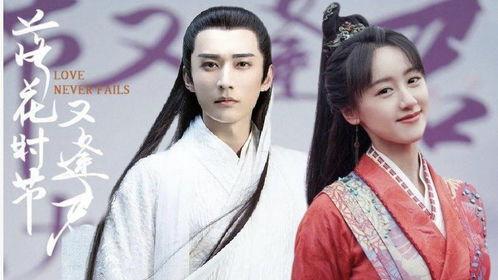 偏我来时又逢君  第3张