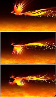 你我皆是金凤凰  第3张