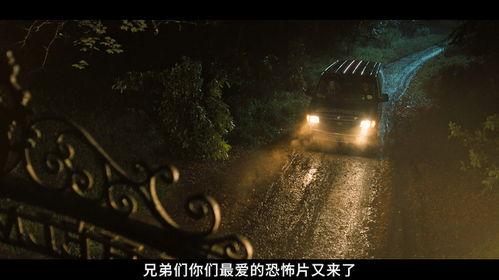 噬血芭蕾,探寻黑暗中的舞者之谜  第2张