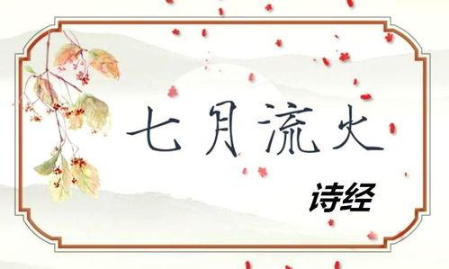 七月流火,炎炎夏日里的清凉记忆  第3张