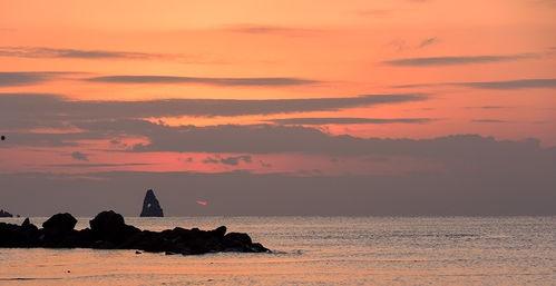 恰如冬日暖阳,温暖心灵的诗意时光