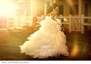 旺角马场,繁华都市中的赛马乐园  第3张