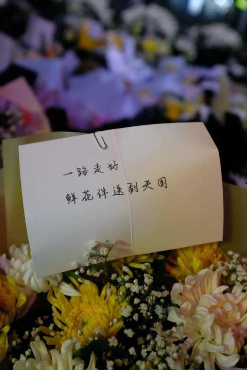 愿天堂没有眼泪,缅怀逝者，珍惜当下  第3张