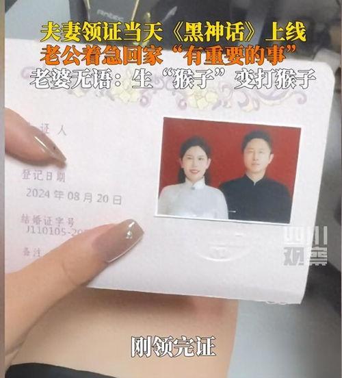 领证当天捡了个老公回家,捡回一枚神秘老公 第3张 领证当天捡了个老公回家,捡回一枚神秘老公 第3张