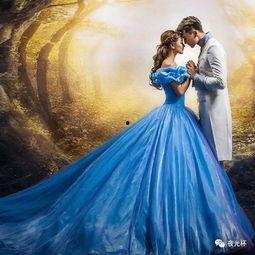 灰姑娘成人版  第1张
