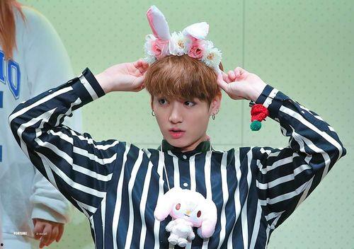 发光吧乔小姐,乔小姐的璀璨人生 第2张 发光吧乔小姐,乔小姐的璀璨人生 第2张