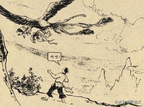 人为财死,揭秘财富背后的生死较量