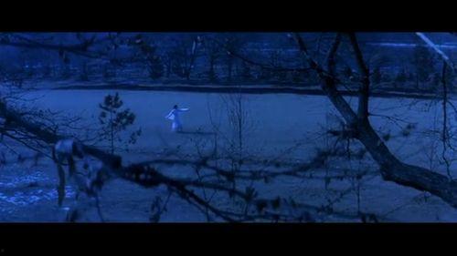 剑花烟雨江南 第2张 剑花烟雨江南 第2张